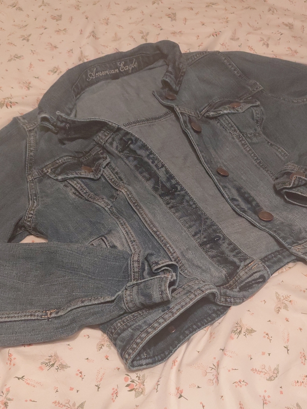 American Eagle Outfitters Women's Blue Jean Jacket